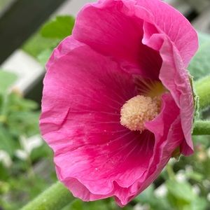 Spell swap @chellesscloset